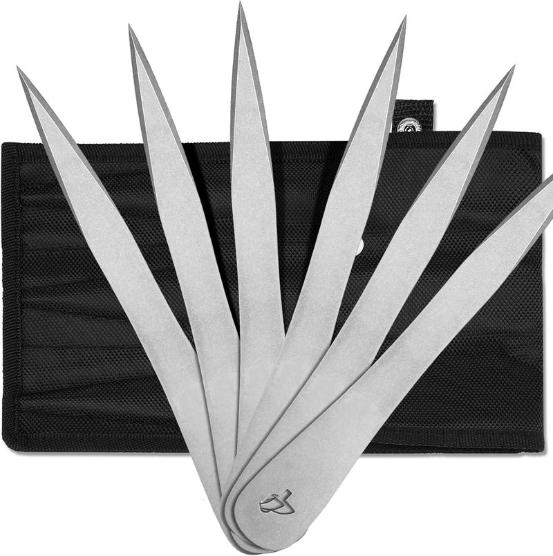Hitdudu The Beak- Throwing Spikes 6Pack Set - 0.236" Thick Premium Stainless Steel Throwing Set with Sheath for Beginner or Pro - Image 1